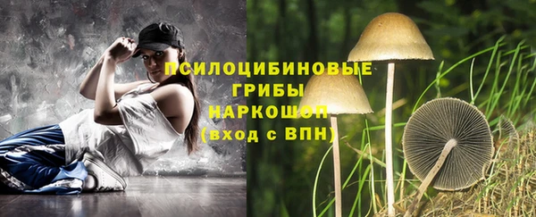 твердый Абинск