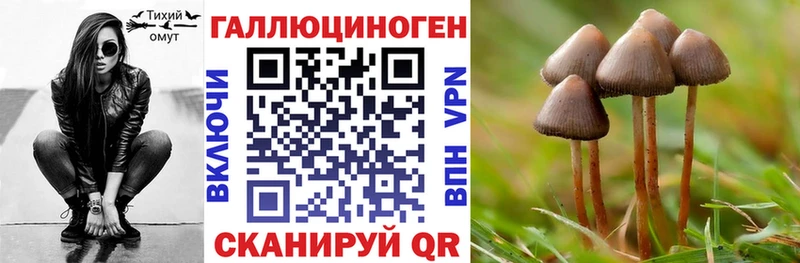 даркнет телеграм Саранск Галлюциногенные грибы GOLDEN TEACHER ОМГ ОМГ рабочий сайт