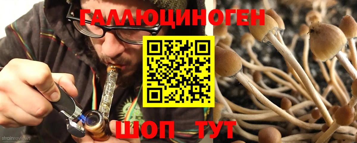 Саранск  Галлюциногенные грибы мицелий  Псилоцибиновые грибы прущие грибы  Вход с VPN 