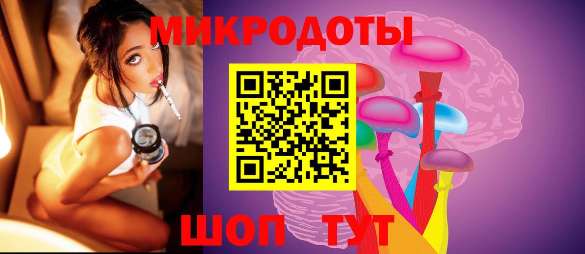 Галлюциногенные грибы Psilocybe Саранск